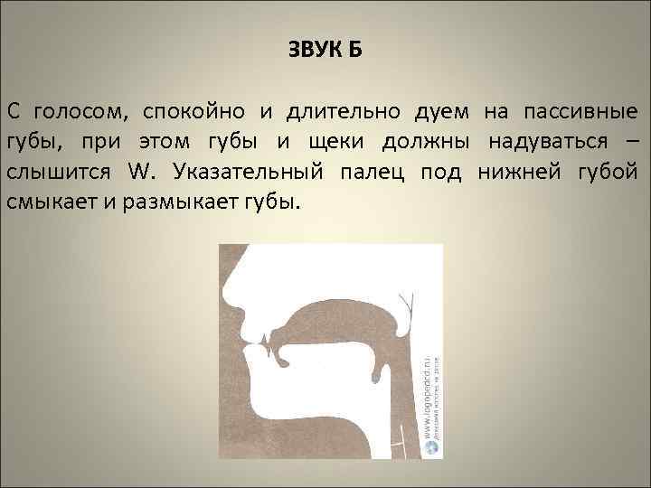 ЗВУК Б С голосом, спокойно и длительно дуем на пассивные губы, при этом губы