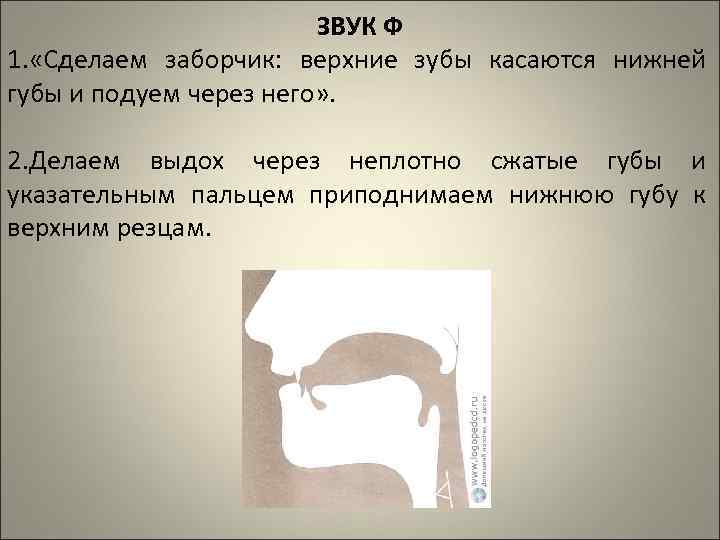 ЗВУК Ф 1. «Сделаем заборчик: верхние зубы касаются нижней губы и подуем через него»