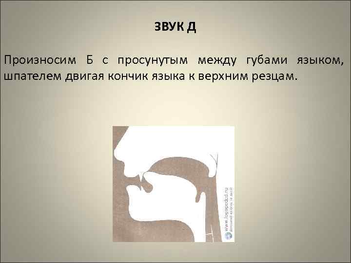 ЗВУК Д Произносим Б с просунутым между губами языком, шпателем двигая кончик языка к
