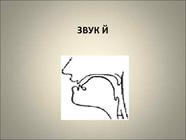 ЗВУК Й 