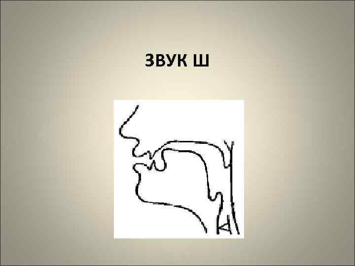 ЗВУК Ш 