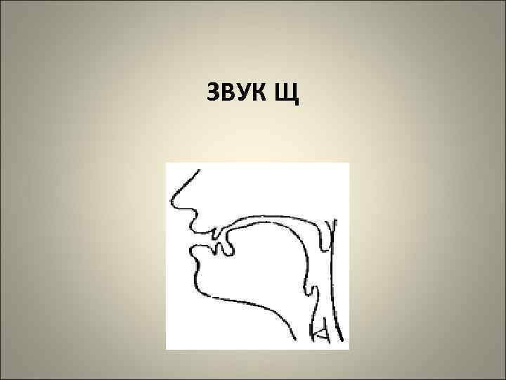 ЗВУК Щ 