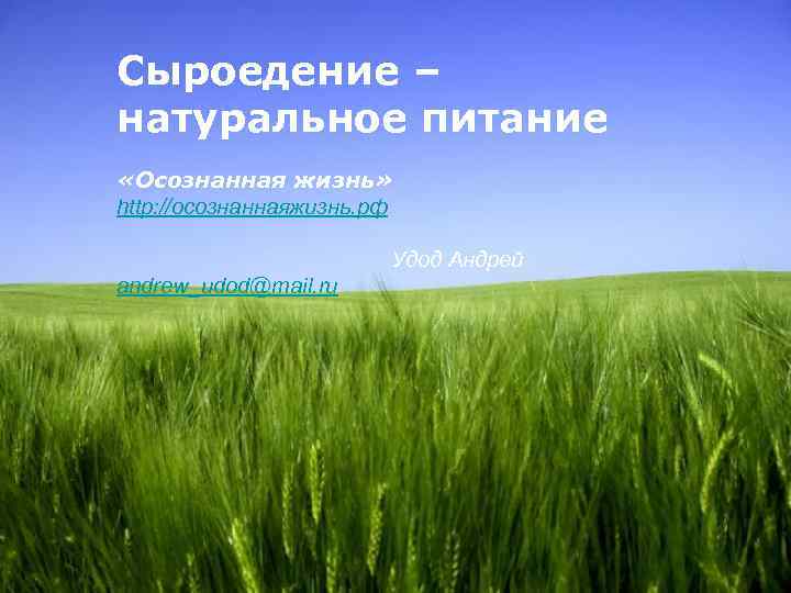 Сыроедение – натуральное питание «Осознанная жизнь» http: //осознаннаяжизнь. рф Удод Андрей andrew_udod@mail. ru Page