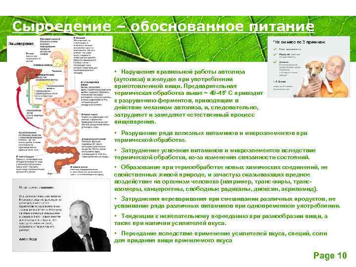 Сыроедение – обоснованное питание Powerpoint Templates • Нарушения правильной работы автолиза (аутолиза) в желудке