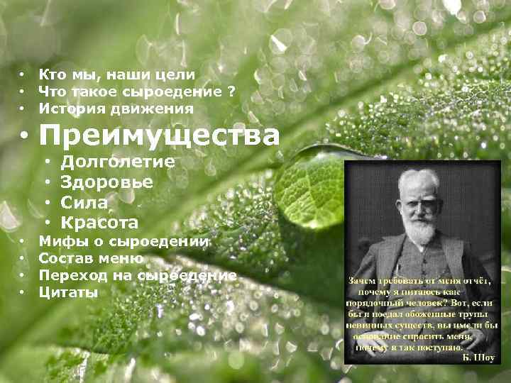 Powerpoint Templates • Кто мы, наши цели • Что такое сыроедение ? • История