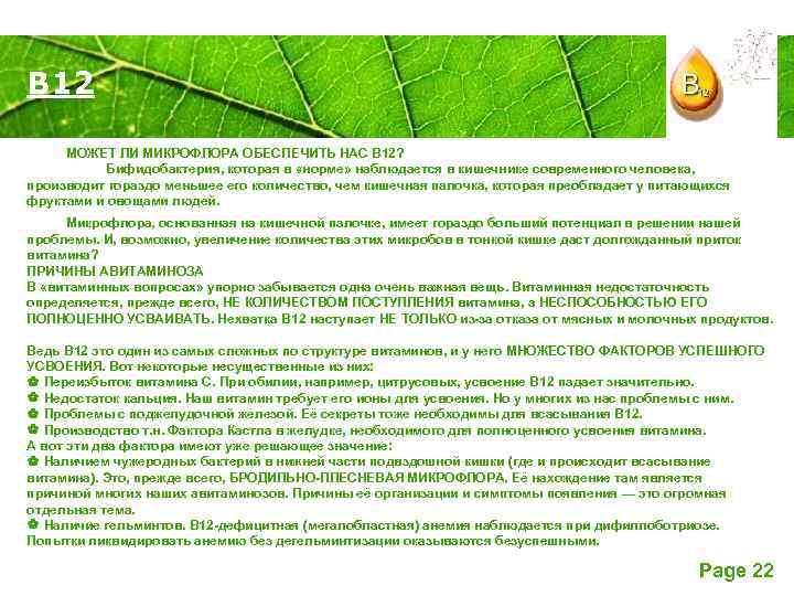 В 12 Powerpoint Templates МОЖЕТ ЛИ МИКРОФЛОРА ОБЕСПЕЧИТЬ НАС В 12? Бифидобактерия, которая в