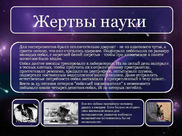 Жертвы науки Для экспериментов брали исключительно дворняг - не из классового чутья, а просто