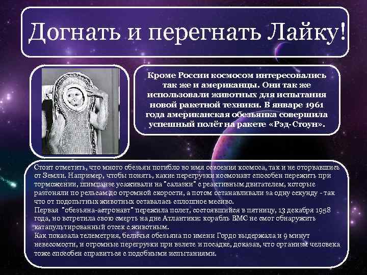 Догнать и перегнать Лайку! Кроме России космосом интересовались так же и американцы. Они так