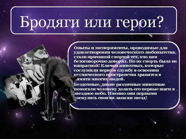 Бродяги или герои? Опыты и эксперименты, проводимые для удовлетворения человеческого любопытства, стали причиной смертей