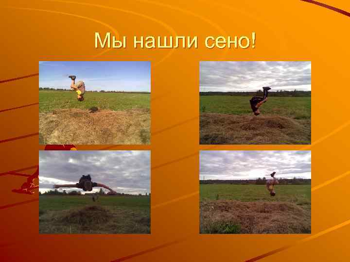 Мы нашли сено! 