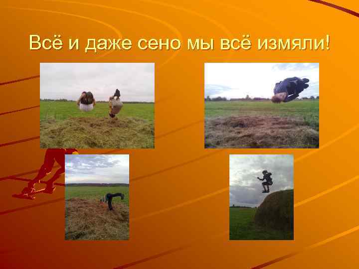 Всё и даже сено мы всё измяли! 