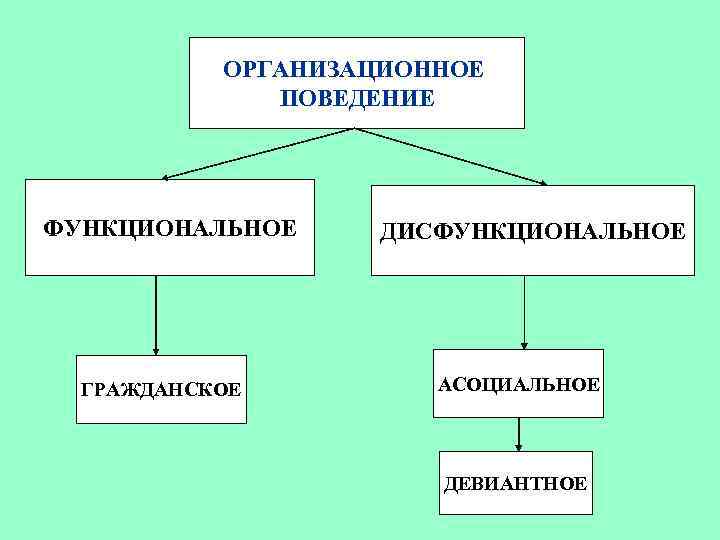ОРГАНИЗАЦИОННОЕ ПОВЕДЕНИЕ ФУНКЦИОНАЛЬНОЕ ГРАЖДАНСКОЕ ДИСФУНКЦИОНАЛЬНОЕ АСОЦИАЛЬНОЕ ДЕВИАНТНОЕ 