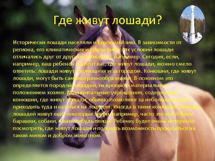 Стихотворение про лошадь. Где живет конь.
