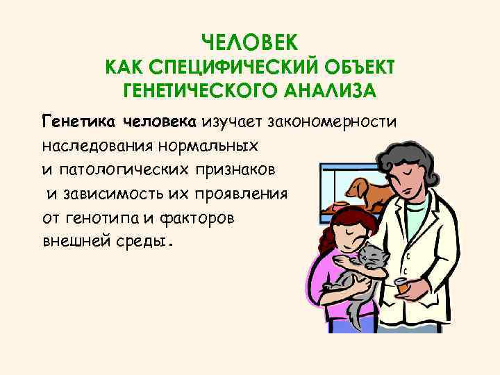 Человек как объект генетического исследования презентация