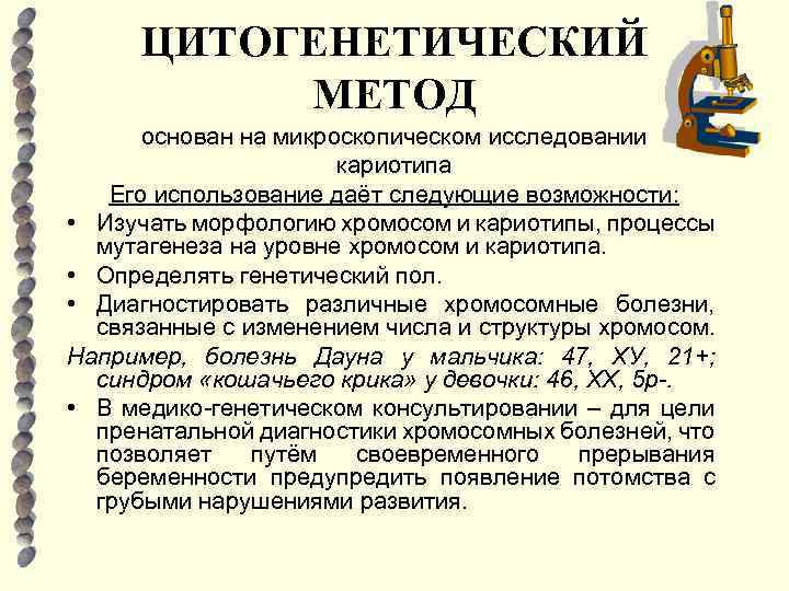 ЦИТОГЕНЕТИЧЕСКИЙ МЕТОД основан на микроскопическом исследовании кариотипа Его использование даёт следующие возможности: • Изучать