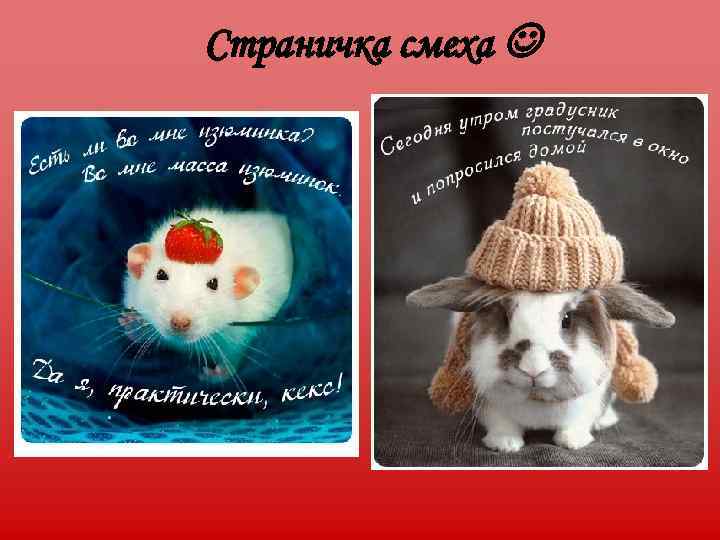 Страничка смеха  