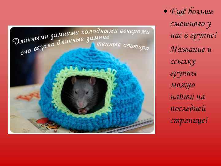  • Ещё больше  смешного у  нас в группе!  Название и