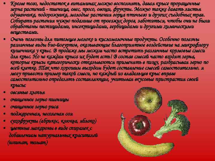  • Кроме того, недостаток в витаминах можно восполнять, давая крысе проращенные  зерна