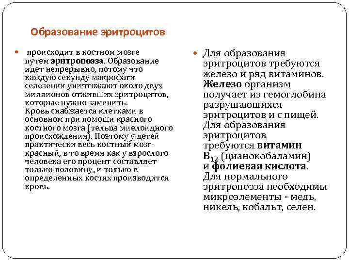 Образование эритроцитов происходит в костном мозге путем эритропоэза. Образование идет непрерывно, потому что каждую