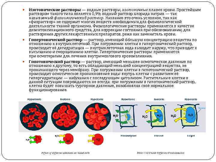 Изотонический раствор равен