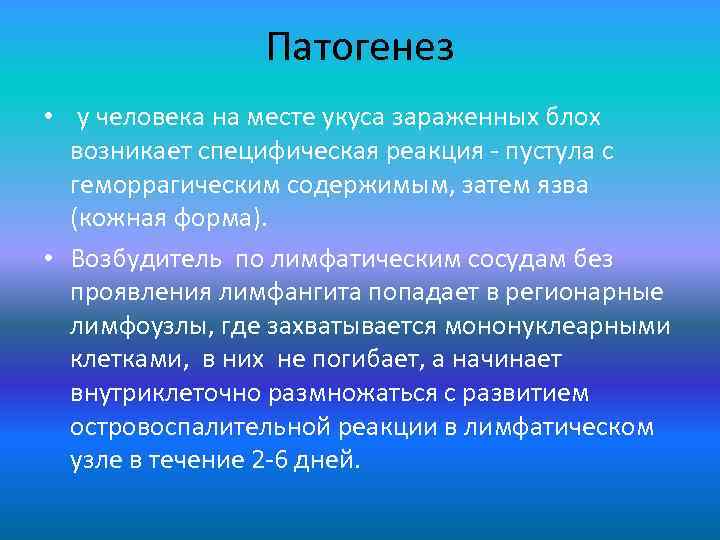 Патогенез • у человека на месте укуса зараженных блох возникает специфическая реакция - пустула