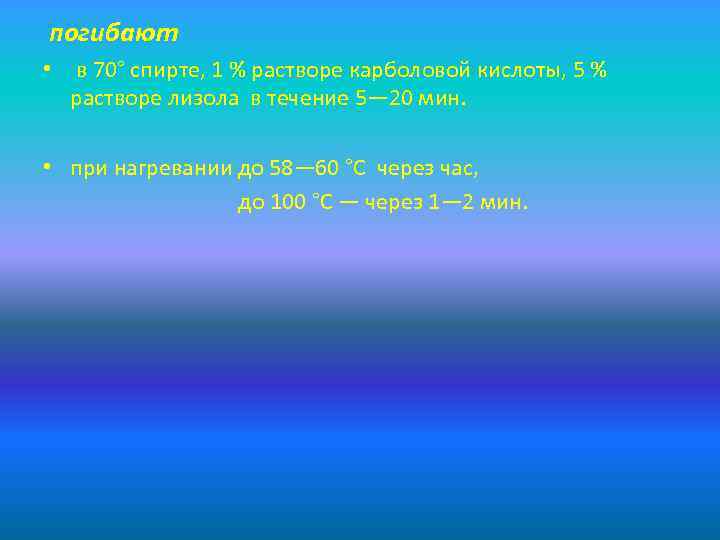 погибают • в 70° спирте, 1 % растворе карболовой кислоты, 5 % растворе лизола