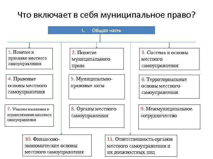 Муниципальное право в схемах