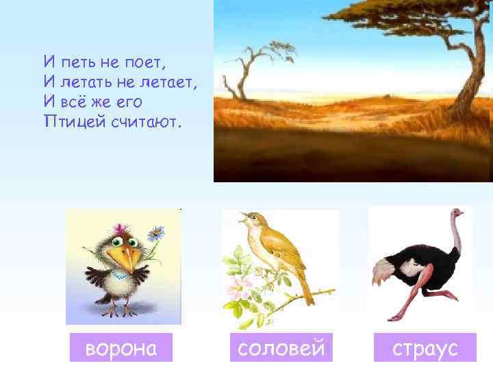 И петь не поет, И летать не летает, И всё же его Птицей считают.