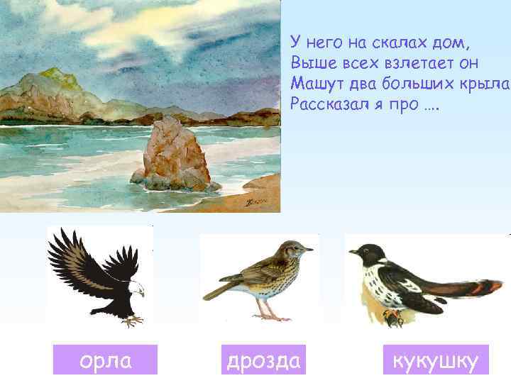 У него на скалах дом, Выше всех взлетает он Машут два больших крыла Рассказал