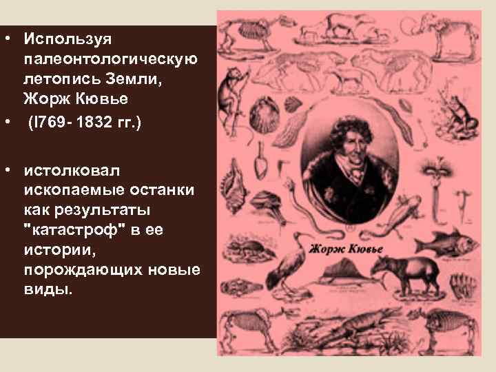  • Используя палеонтологическую летопись Земли, Жорж Кювье • (I 769 - 1832 гг.