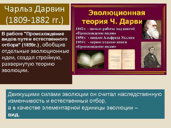 Чарльз Дарвин (1809 -1882 гг. ) В работе 