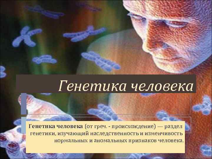 Генетика человека (от греч. - происхождение) — раздел генетики, изучающий наследственность и изменчивость нормальных