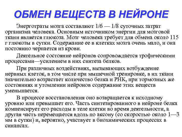 ОБМЕН ВЕЩЕСТВ В НЕЙРОНЕ Энерготраты мозга составляют 1/6 — 1/8 суточных затрат организма человека.