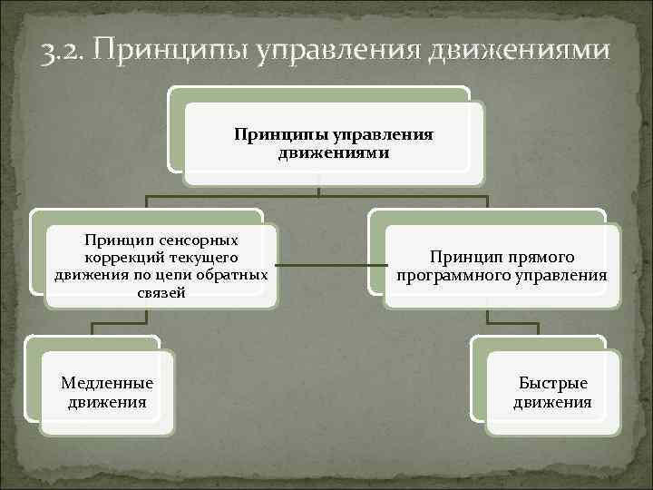 Принципы движения. Принцип управления движениями. Общие принципы организации движений физиология. Общие принципы управления движениями.. Управление движениями физиология.