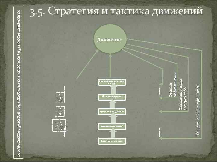 Программа (план) движения Цель действия (стратегия) Биологическая мотивация Удовлетворение потребностей Двигательная команда (тактика) Санкционирующая
