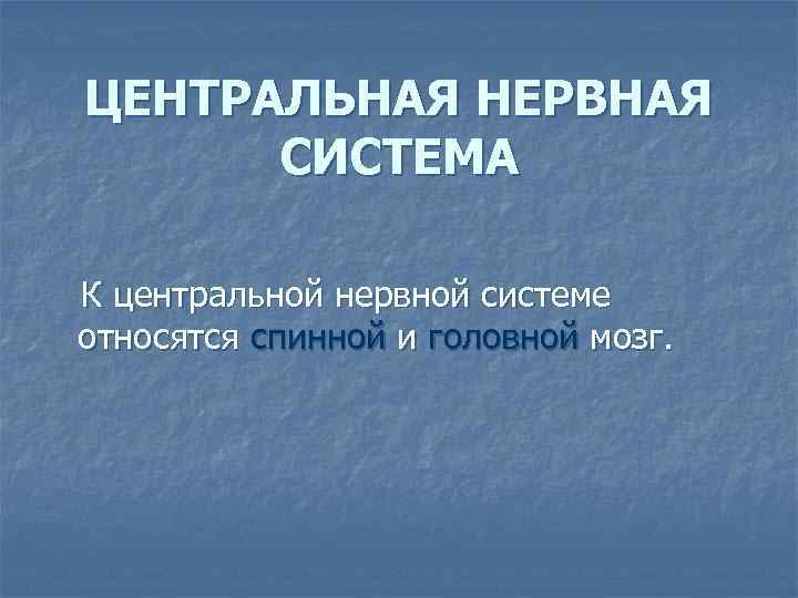 ЦЕНТРАЛЬНАЯ НЕРВНАЯ СИСТЕМА К центральной нервной системе относятся спинной и головной мозг. 
