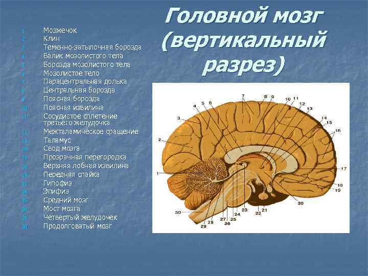 1. 2. 3. 4. 5. 6. 7. 8. 9. 10. 11. 12. 13. 14.
