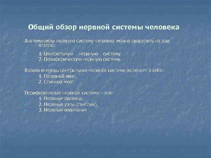 Общий обзор нервной системы человека Анатомически нервную систему человека можно разделить на два отдела: