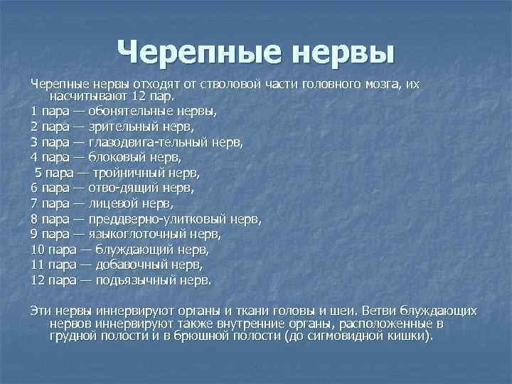 Черепные нервы отходят от стволовой части головного мозга, их насчитывают 12 пар. 1 пара