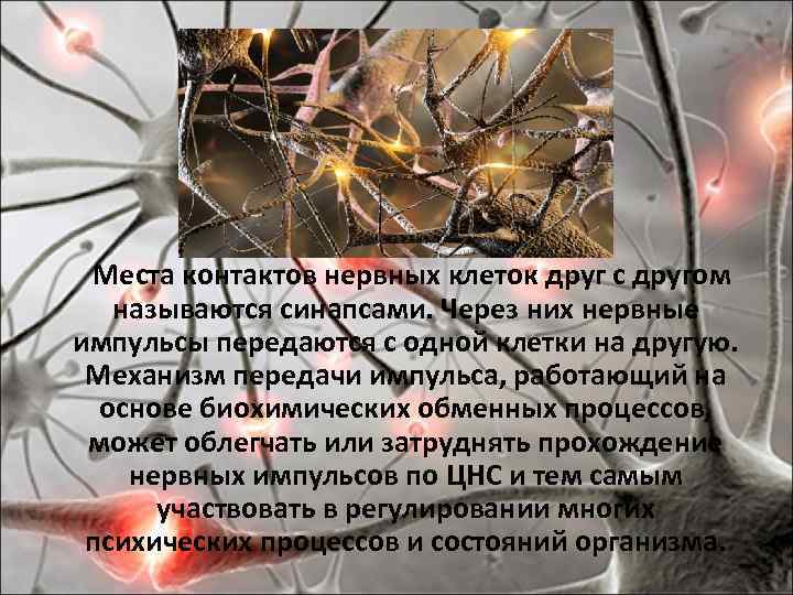  Места контактов нервных клеток друг с другом называются синапсами. Через них нервные импульсы