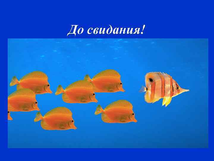 До свидания! 