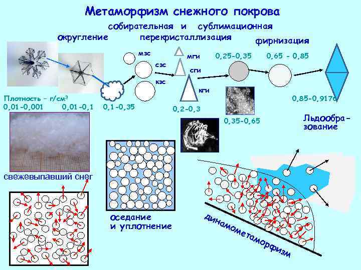 Метаморфизм снежного покрова собирательная и сублимационная округление перекристаллизация фирнизация мзс сзс кзс Плотность –
