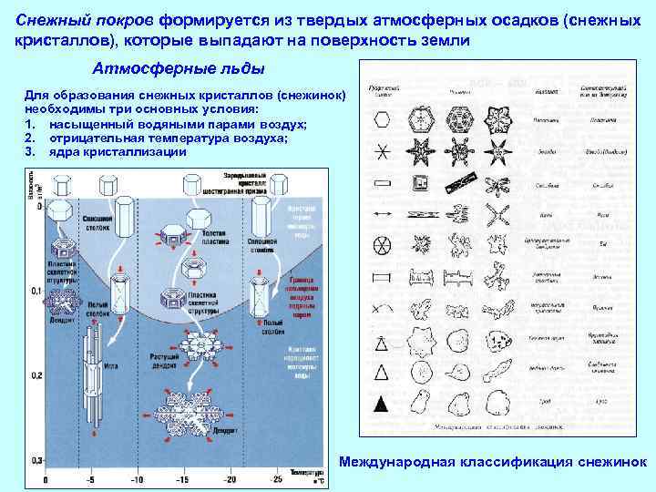 Снежный покров формируется из твердых атмосферных осадков (снежных кристаллов), которые выпадают на поверхность земли