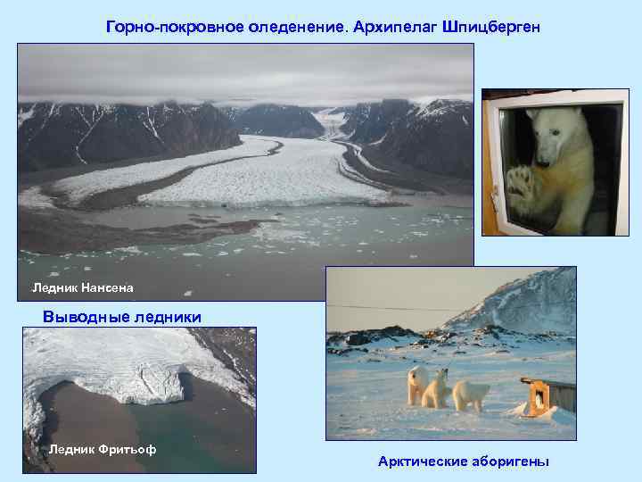 Горно-покровное оледенение. Архипелаг Шпицберген Ледник Нансена Выводные ледники Ледник Фритьоф Арктические аборигены 