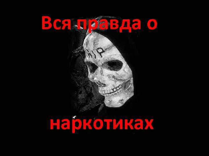 Вся правда о наркотиках 