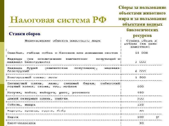 Налоговая система РФ Ставки сборов Сборы за пользование объектами животного мира и за пользование