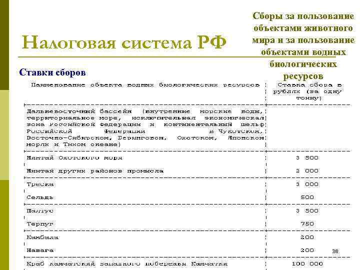 Налоговая система РФ Ставки сборов Сборы за пользование объектами животного мира и за пользование