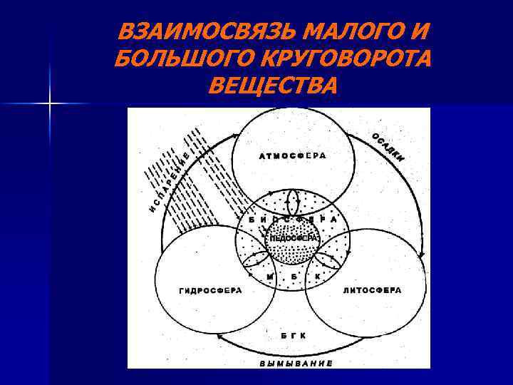ВЗАИМОСВЯЗЬ МАЛОГО И БОЛЬШОГО КРУГОВОРОТА ВЕЩЕСТВА 