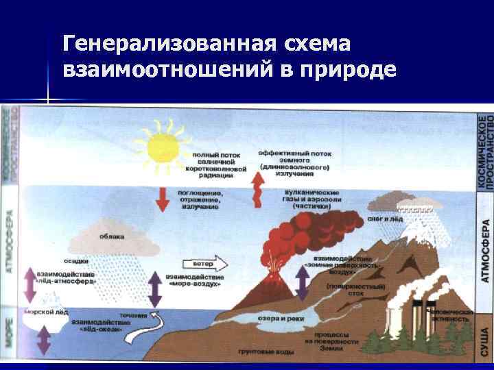 Генерализованная схема взаимоотношений в природе 
