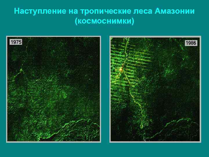 Наступление на тропические леса Амазонии (космоснимки) 